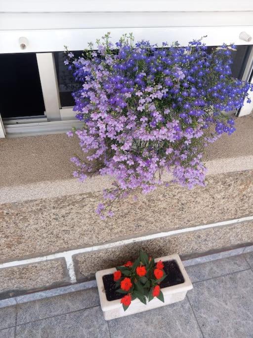 Precioso Apartamento En San Vicente De O Grove San Vicente do Grove Dış mekan fotoğraf